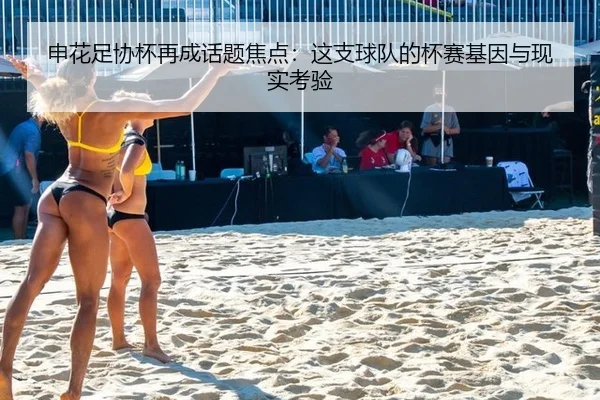 申花足协杯再成话题焦点：这支球队的杯赛基因与现实考验
